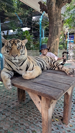 プロフィール写真7・💕💕💕女社長💕💕💕吉祥寺ミニスカOLドナルド💕｜NEW DONALD・ニュードナルド - 吉祥寺南口のガールズバー
