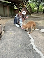 おゆう