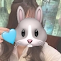 こなつ🐰🩵シュシュ秋葉原
