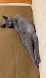 ゆづき