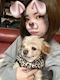 プロフィール写真3・みらい🐈⬛⸒❤︎|宮崎 キャバクラ・ハルディン