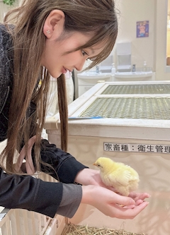桜井 はな「🐥⸒⸒」