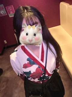 プロフィール写真1・みさき｜なでしこ・ナデシコ - 池袋東口のガールズバー