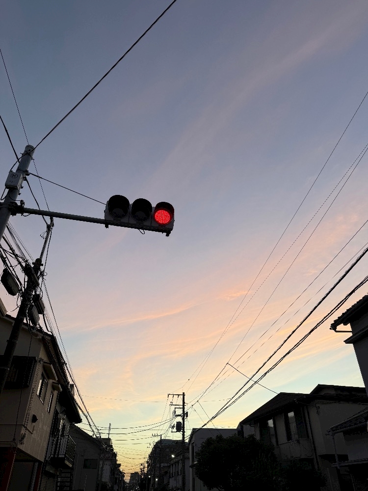 ネムネム