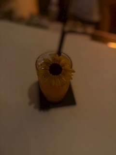美海せいら