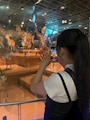 新着ブログ 🦖⸒⸒