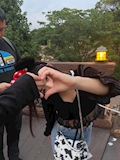 こころ🐭🧀