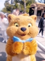 chiko