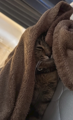 ありさ