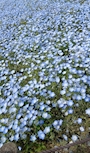 新着ブログ ラスト華金