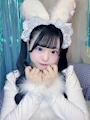 新着ブログ アニマルイベント4日目🐰🎀⸝꙳