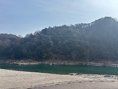 おやすみ！自然界隈してきたぞ～～🌿🫧