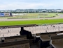 新着ブログ 東京競馬場🐎