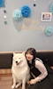 プロフィール写真2・りな|Girls Bar pure・ピュア - 府中のガールズバー