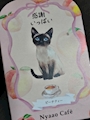 chiko