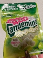 新着ブログ ますかっと