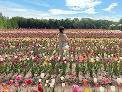 プロフィール写真5・湊　みらい｜MIKOTO・ミコト - 広島市（流川）のキャバクラ