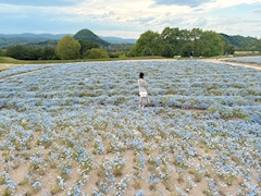 プロフィール写真10・湊　みらい｜MIKOTO・ミコト - 広島市（流川）のキャバクラ