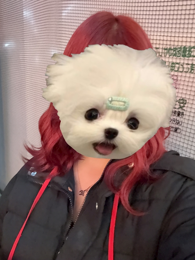 みずき Puu
