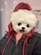 プロフィール写真1・みずき|Puu・プー - 西新井駅のガールズバー