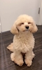 プロフィール写真2・ヒデヨシ｜ツヨカワ - 静岡市 紺屋町のコンカフェ