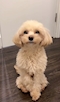 プロフィール写真1・ヒデヨシ｜ツヨカワ - 静岡市 紺屋町のコンカフェ