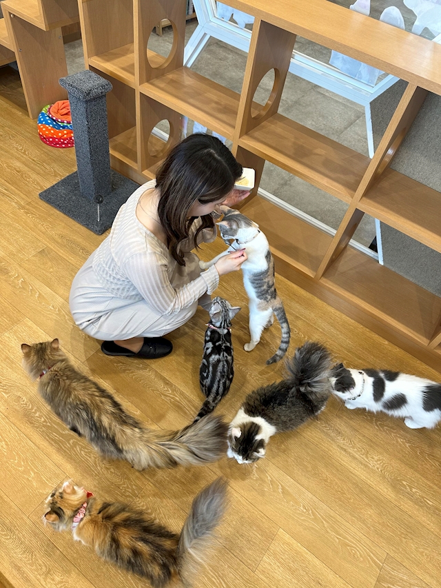 プロフィール写真2・ななみ｜