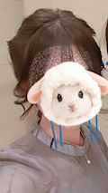 ヒマリ