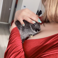 プロフィール写真13・🫦🍒 こ こ 🌾🍑神楽坂Cherry🫦🍒｜Girl's Bar Cherry ・チェリー - 神楽坂・飯田橋のガールズバー