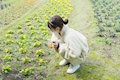 ほのか