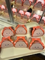新着ブログ もっちゅりん