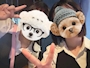 chiko