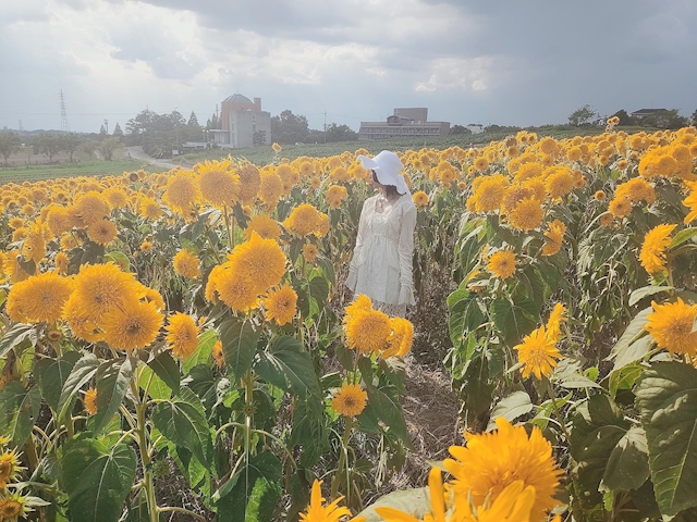 プロフィール写真2・よる｜