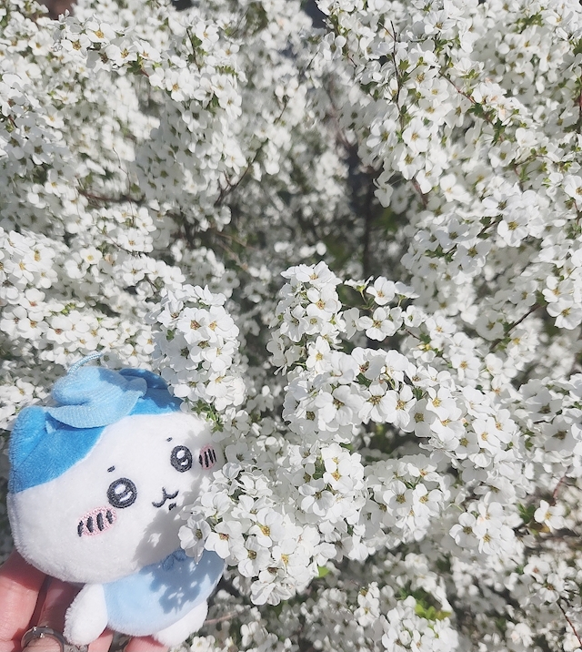 プロフィール写真2・よる｜