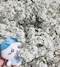 プロフィール写真4・よる|CRYSTAL・クリスタル - 名古屋 名駅のガールズバー