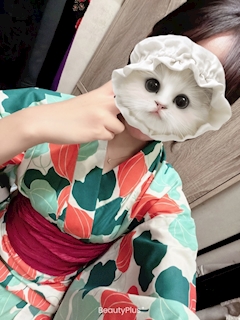 👼🏻あさひ👼🏻「浴衣やで」