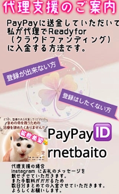 プロフィール写真3・🐈優子🐈⬛|熟女キャバクラ LADY GARDEN・レディーガーデン - 尾張 一宮の熟女パブ/熟女キャバクラ