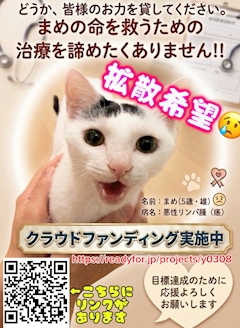 プロフィール写真2・🐈優子🐈⬛|熟女キャバクラ LADY GARDEN・レディーガーデン - 尾張 一宮の熟女パブ/熟女キャバクラ