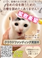 プロフィール写真2・🐈優子🐈⬛|熟女キャバクラ LADY GARDEN・レディーガーデン - 尾張 一宮の熟女パブ/熟女キャバクラ