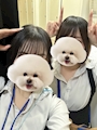 新着ブログ ラストまでいるよ!!