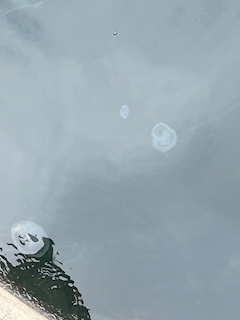 恩田知典「東京湾にて」