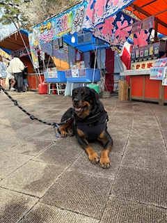 プロフィール写真1・いっせい｜RAINBOW LOUNGE STAR・レインボーラウンジスター - 八王子のクラブ/ラウンジ