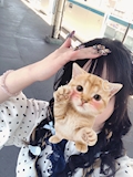 かなの