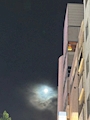 新着ブログ 満月🌕
