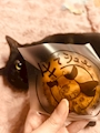 新着ブログ ʚ牛シューɞ