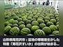 華乃