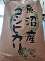 chiko