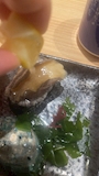 新着ブログ 海鮮好きᩚ