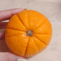 ゆめ🍥蒲田Lycoris