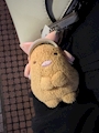 chiko